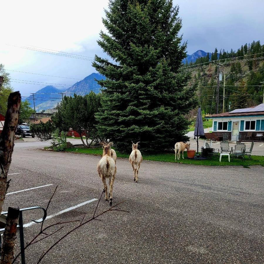 Lido Motel Radium Hot Springs Bagian luar foto