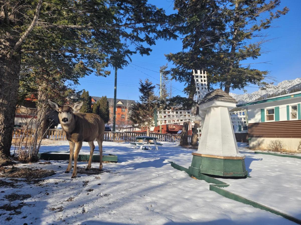 Lido Motel Radium Hot Springs Bagian luar foto