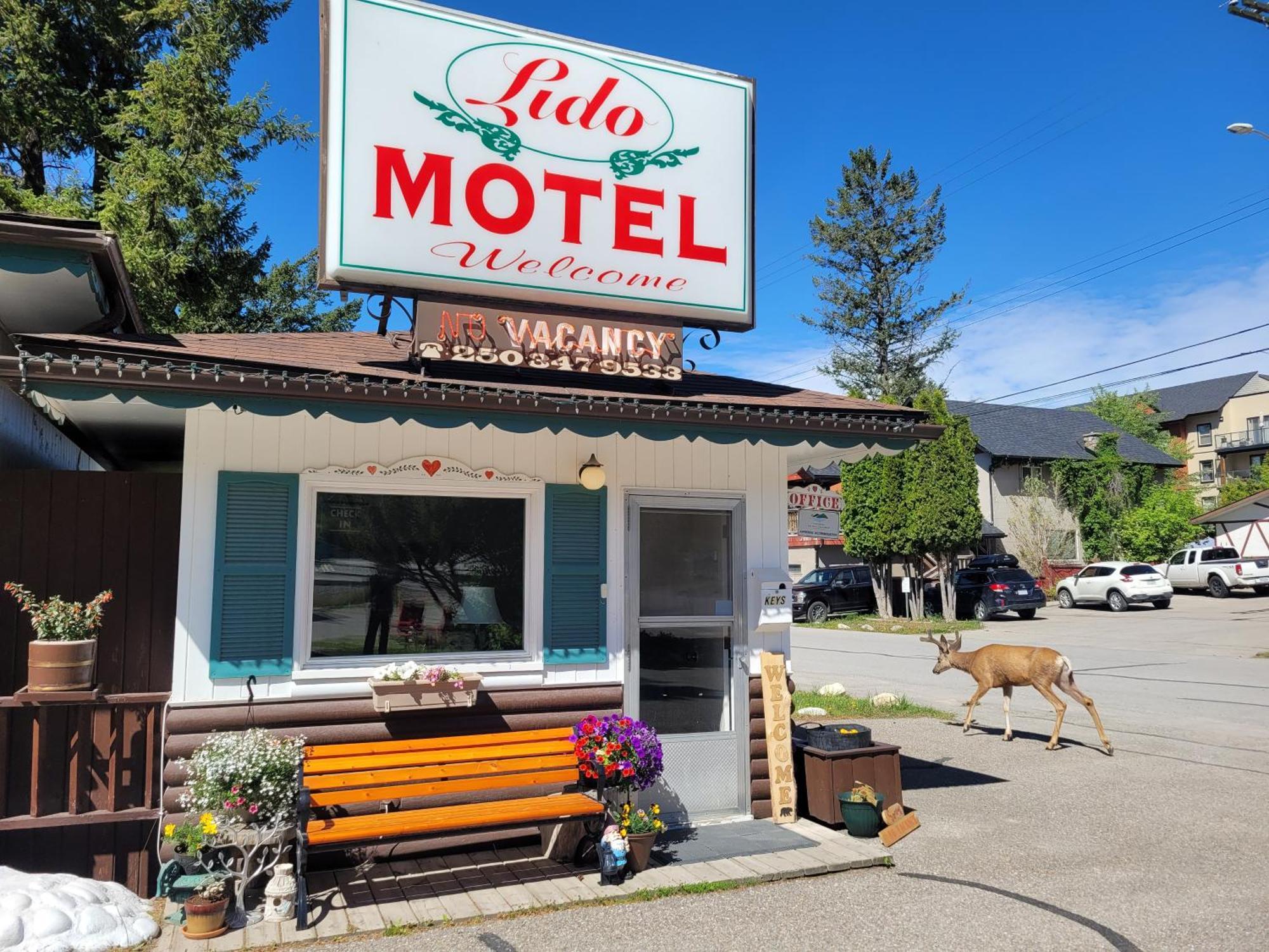 Lido Motel Radium Hot Springs Bagian luar foto