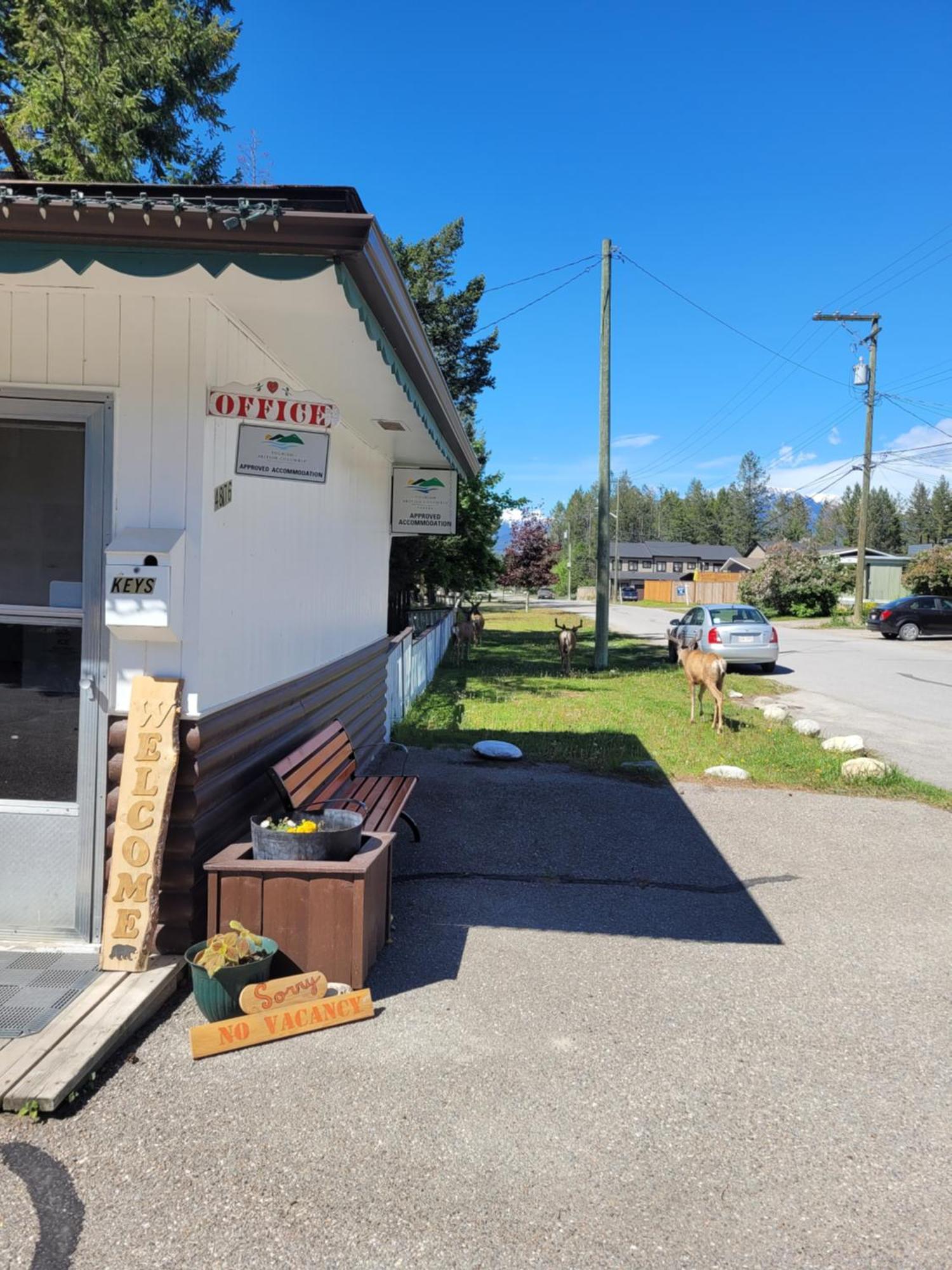 Lido Motel Radium Hot Springs Bagian luar foto